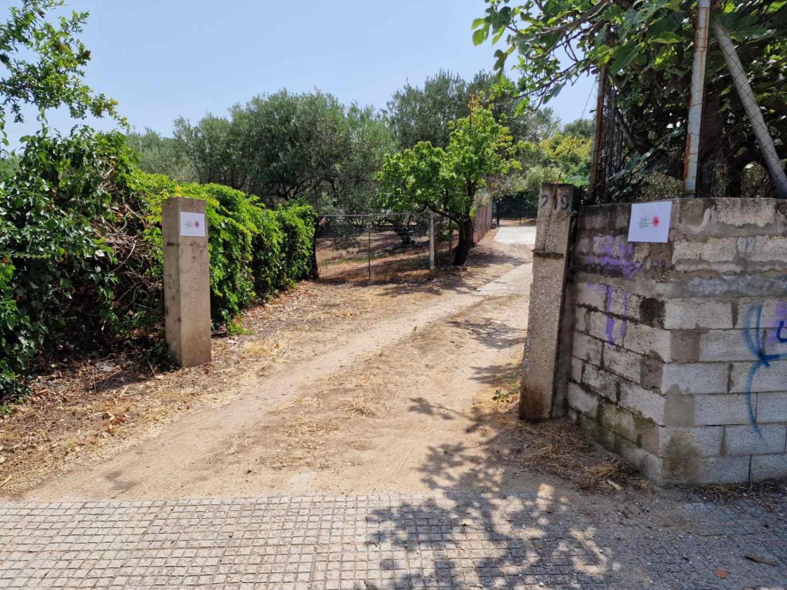 Stella'S Garden Villa Palaiontsiflikion Exterior photo