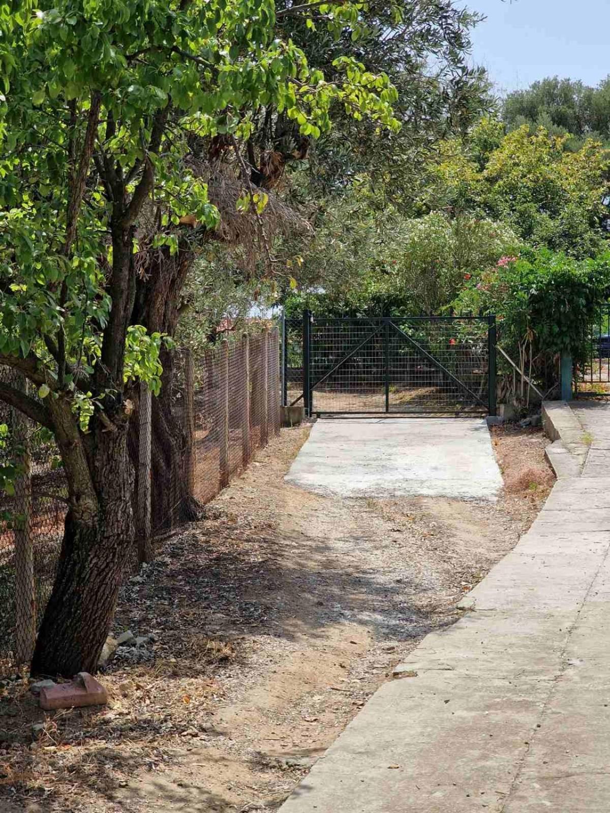 Stella'S Garden Villa Palaiontsiflikion Exterior photo